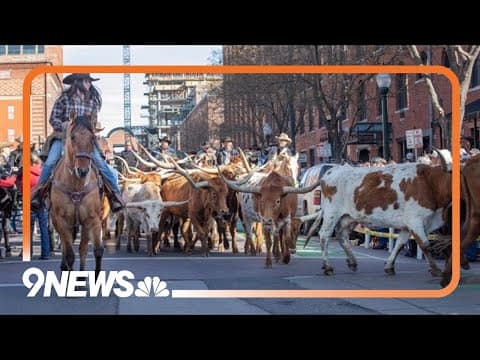 RTD pausing light rail for National Western Stock Show Kick-off Parade