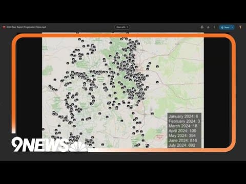 Bear encounters up in Colorado for 2024