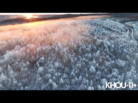 Moments of Zen: Winter in Houston and beyond