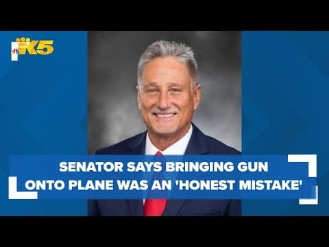 State senator says he found revolver on flight to Hong Kong, calls it 'honest mistake'