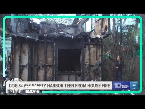 Single mom credits dog for saving son from New Year's Eve house fire