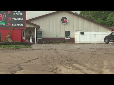 Flash flooding damages dog day care center in Lancaster: 'We don't know what's gonna happen'