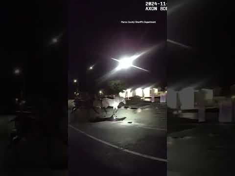 Authorities wrangle horses that ran loose in Tacoma Wednesday night #king5