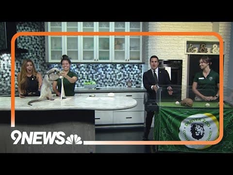 Sunrise Safari: Meet Laird and Chaco