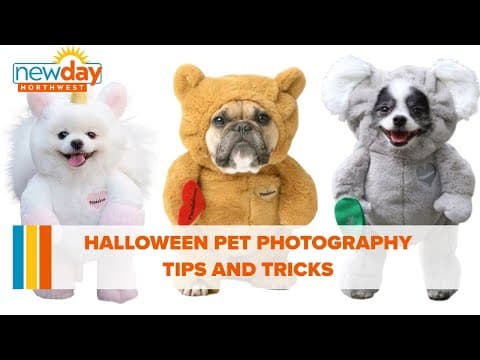 Halloween pet photography tips and tricks - New Day NW