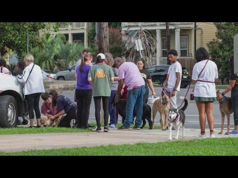 Pets and People Wellness Clinic event in New Orleans