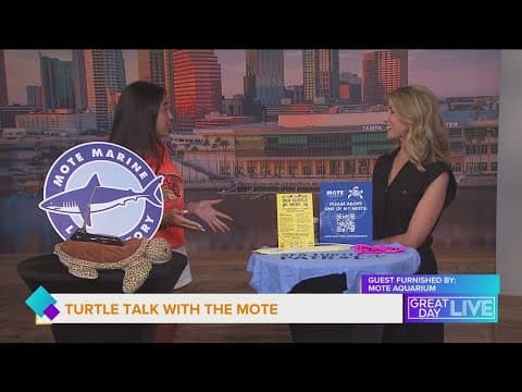 Turtle time at our beaches