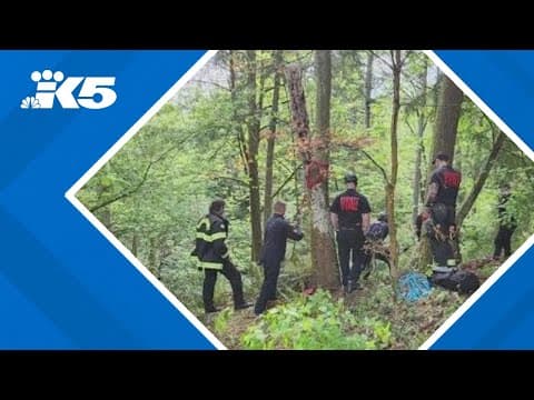 Mukilteo firefighters rescue person who fell down embankment