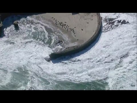 Children's Pool La Jolla sea wall damage from strong waves | Above San Diego