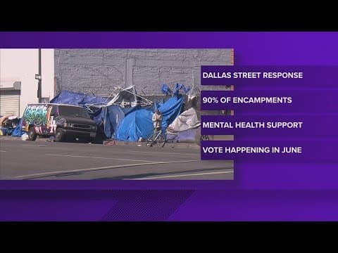 New plan unveiled details how Dallas plans to address growing homeless issue