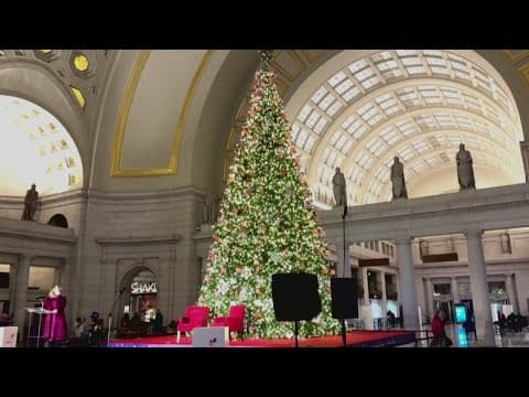 Christmas tree raised inside DC's Union Station