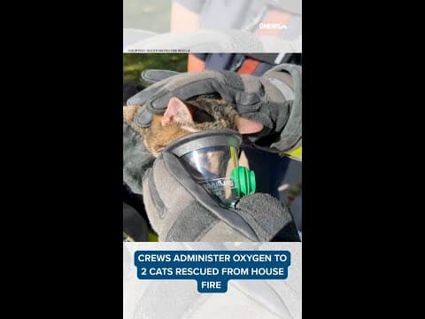2 cats receive oxygen after house fire