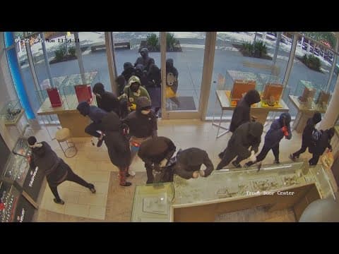 Over two dozen thieves rob jewelry store in Northern California
