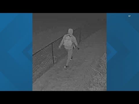 ISP seeks firearm robbery suspect