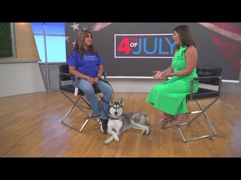 Chula Vista Animal Services urges pet owners to protect pets on the Fourth of July