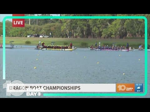 Hundreds of dragon boats race in Sarasota