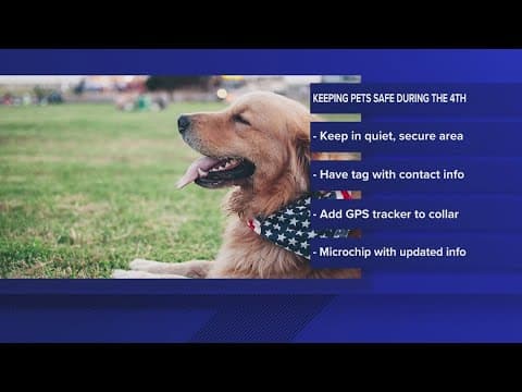 Fireworks may not be so fun for your pets. Here's how to keep 'em safe!