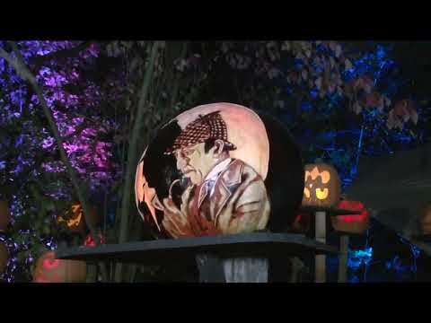 Jack-O-Lantern Spectacular returns for another season at the Minnesota Zoo