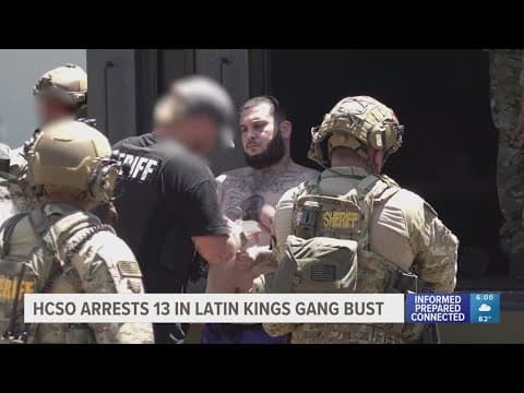 Hillsborough deputies bust 'dangerous operation' by gang after months-long investigation