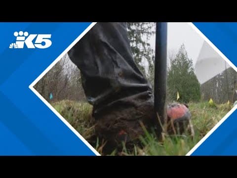 How King County is digging into a new way to make sure local trees stay healthy in changing climate