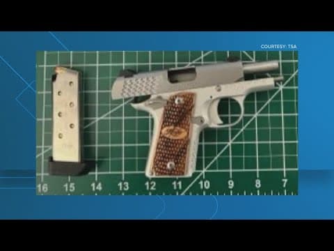 Reagan National Airport ties record for firearm seizures