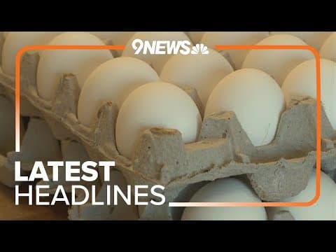 Latest Headlines | Egg shortage in Colorado driven by avian flu, not incoming state law, expert says