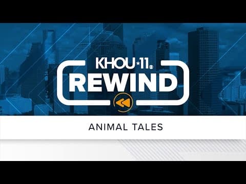 KHOU 11 Rewind: Animal tales