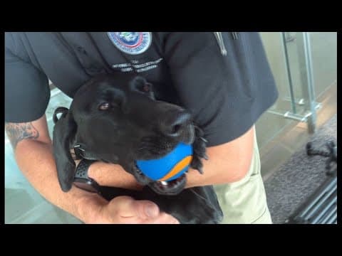 Exclusive tour of the TSA at San Diego International Airport