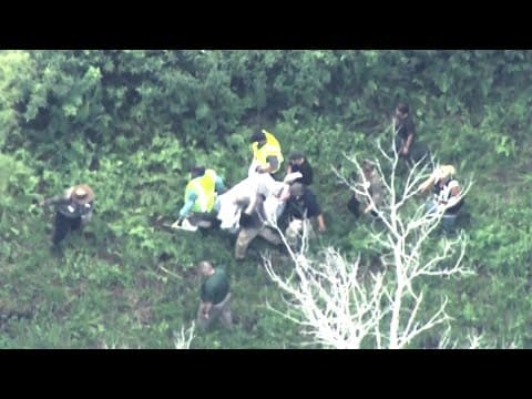 Disney closes attractions after black bear spotted