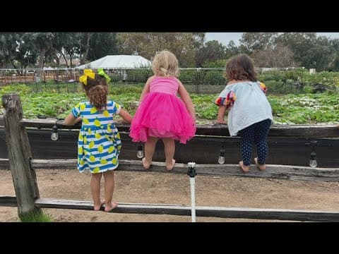 Working For Our Planet | Support sustainable farming