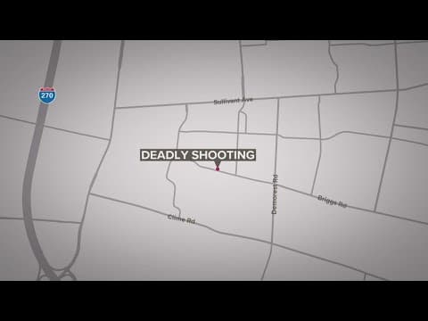 19-year-old found fatally shot in southwest Columbus home