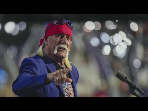Pro wrestling legend Hulk Hogan dies at 71