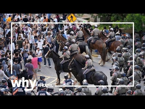 Why are student protestors demanding colleges divest from Israel?