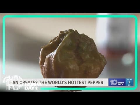 Pepper X takes down Carolina Reaper as world's hottest pepper