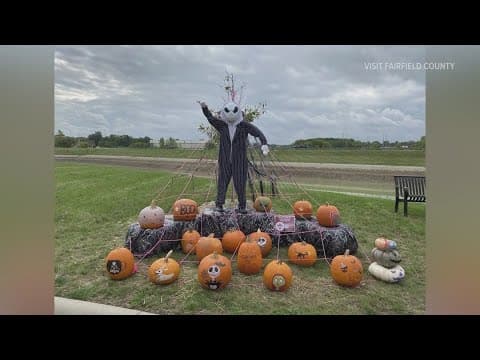 Final days to explore the 2024 Fairfield County Scarecrow Trail