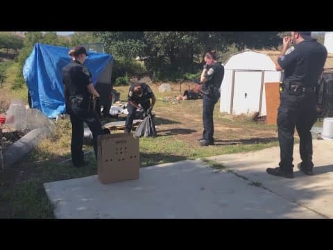 Man to be sentenced for torturing and killing at least 10 cats