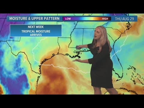 Friday Noon Tropics Update: Tropical moisture moves into Gulf of Mexico next week