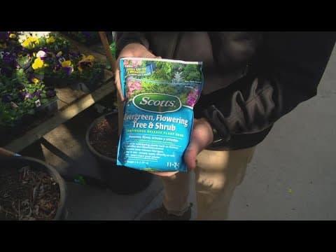 Pat Sullivan's tips for properly planting a new tree