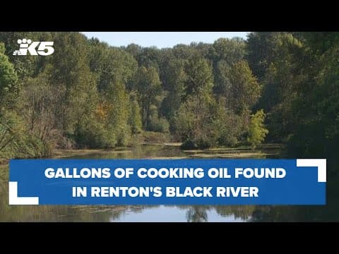 About 100 gallons of cooking oil found in Renton's Black River