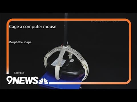 Researchers at Colorado State have created insect robots