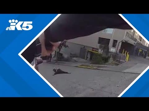 New bodycam video shows arrest of Seattle stabbings suspect