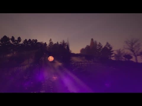 Zoo Knoxville to host new music and light show this winter