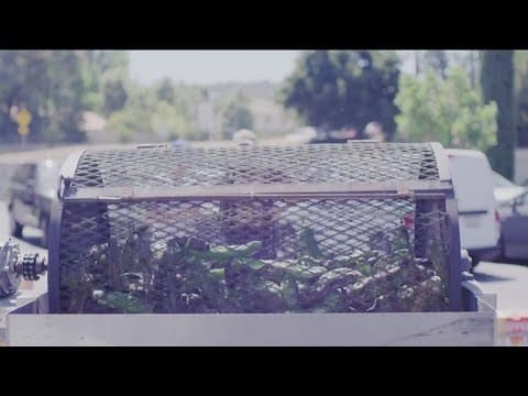 Gelson's Premium Food Market celebrates Hatch Chile season