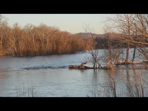 Island Loop Trail at Seven Islands State Birding Park