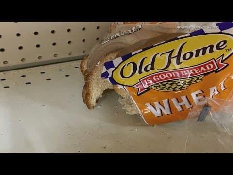 Grocery Outlet in Poway closed by County Health for rodent infestation