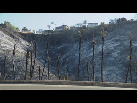 Talmadge residents thank firefighters for saving homes from Halloween blaze