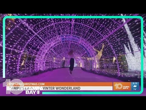 Tampa Bay's immersive Christmas experience "Enchant" opens Friday