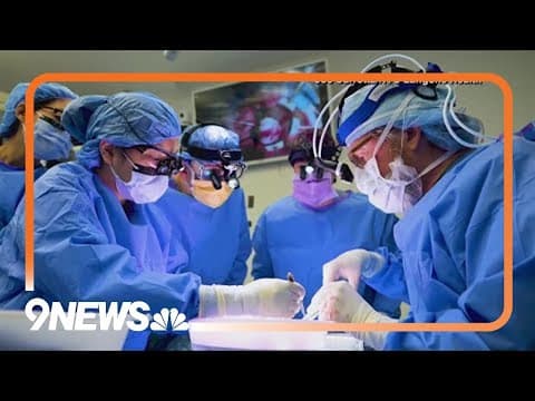 Transplant science: Medical expert weighs in on using animal organs