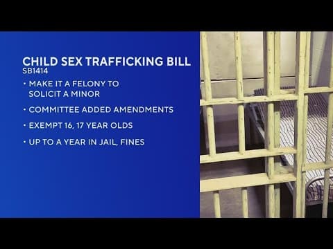 Soliciting minors for sex is a misdemeanor in CA. It could become a felony