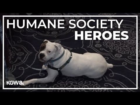 Oregon Humane Society honors pets and people for compassion, dedication
